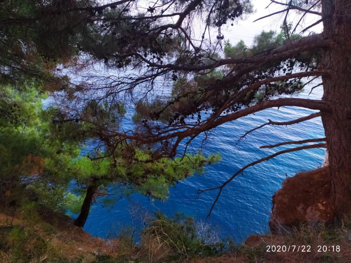 Apartamenti Enjoy Lägenhet Petrovac Exteriör bild